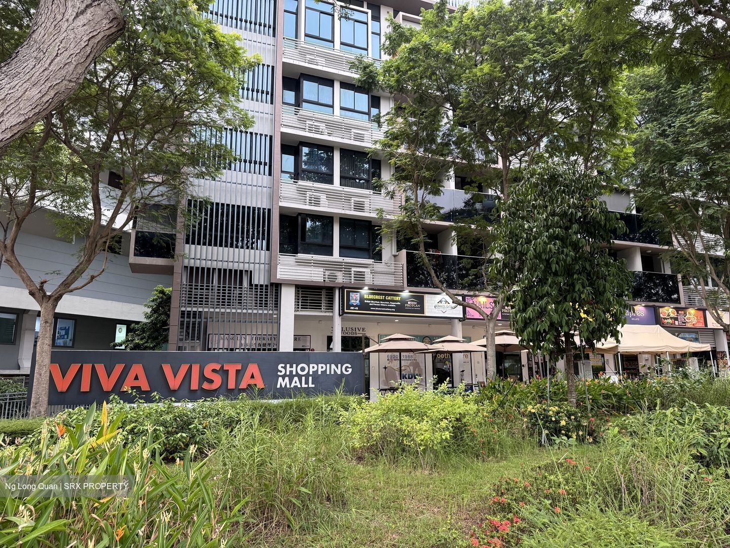 Viva Vista (D5), Retail #635745451
